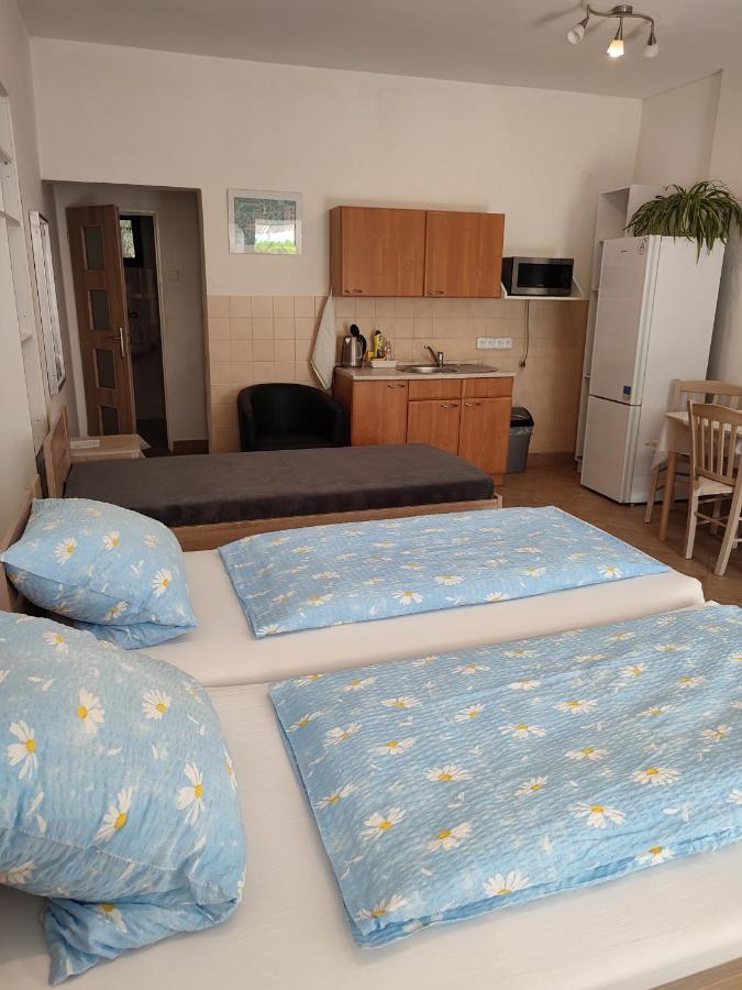 Ferienwohnung Pension Dana Karaskova Kutná Hora Exterior foto